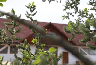 Constructii si teren  intravilan18.000 mp - 20