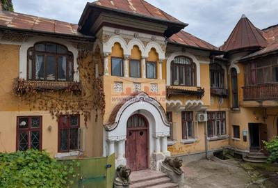Vanzare Vila Interbelica Cismigiu Centru Bucuresti - 2