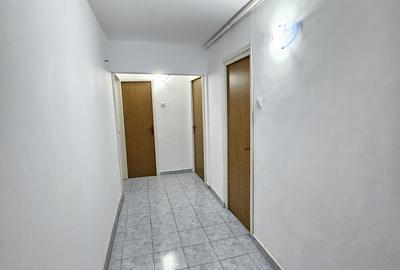 Baba Novac/Dristor/Centrala Prorpie/Ap 2 Camere decomandat/ - 14