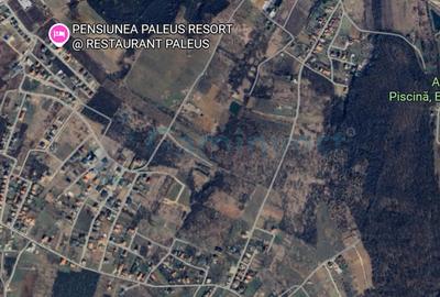 Teren Construcții intravilan de 13265 mp, în Săldăbagiu de Munte