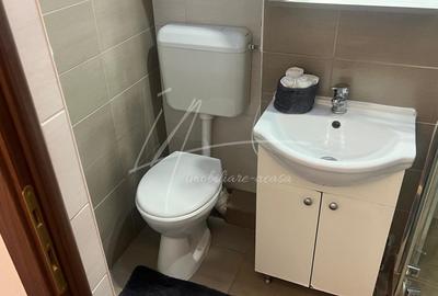 Apartament cu 2 camere -Sala Palatului-str. Ion Campineanu 23. Pet friendly. - 17