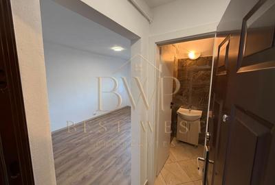 Garsonieră renovată Buziașului parter - 3