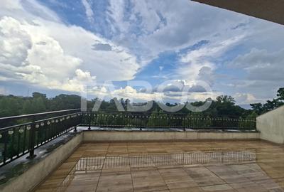 Penthouse de inchiriat 130mp terasa 30m zona Sub Arini Sibiu - 25