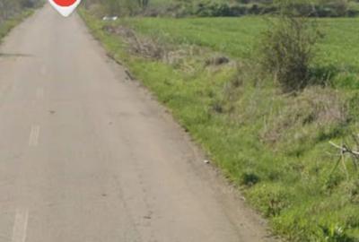 Vanzare teren 4500 mp in apropiere de Aerodromul Clinceni Loc Cornetu-Ilfov - 3