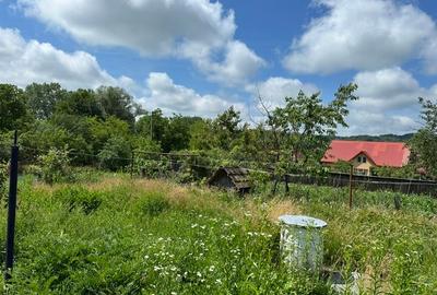 Amarasti Nemoiu in apropiere de Dragasani si Valcea - 9