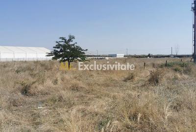 Teren extravilan arabil | Intrare in Pielesti | Zona Peugeot - 5