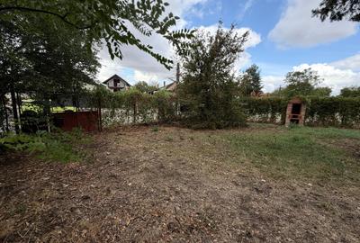 CASĂ DE VACANȚĂ ÎN GRADINA VIILOR CAREI CU 1.924 MP TEREN FRONT 15M - 3