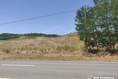 Teren Construcții intravilan de 11400 mp, în Corpadea