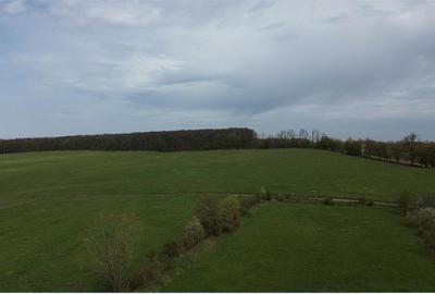 Teren intravilan 5800 mp Mitocasi - Suceava! - 3