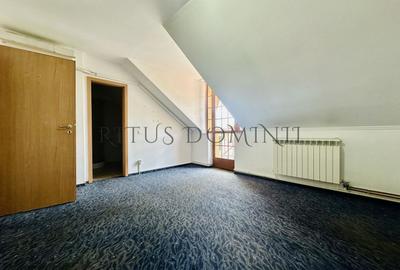 Casa de Închiriat Ultracentrala, 12 Camere, 10 Bai, 6 Parcari - 9