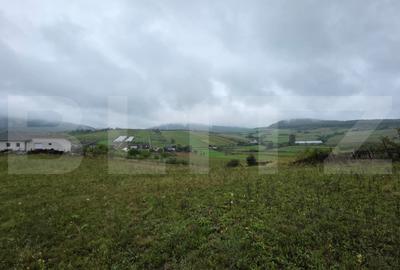 Teren Construcții intravilan de 880 mp, în Nord-Vest
