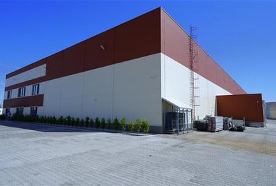 CLADIRE DE BIROURI SI HALA INDUSTRIALA - BORS, BIHOR - 21