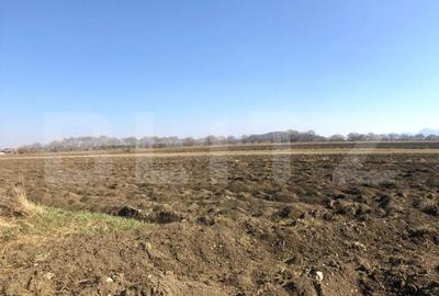 Teren Construcții intravilan de 10000 mp, în Exterior Nord