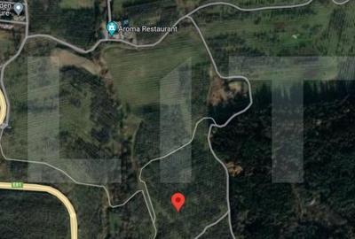 Teren Construcții intravilan de 2900 mp, în Feleacu
