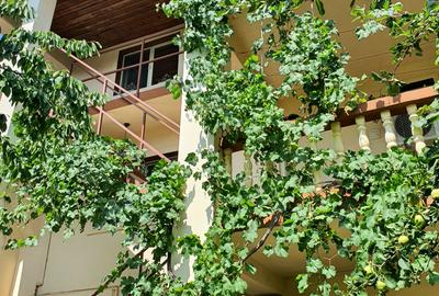Vila multifamiliala /3 apartamente  si 1  studio /Sector  2 /curte individuala - 1