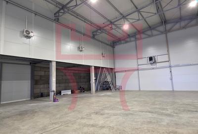 Inchiriere hala cu ISU zona Baciu  + platforma betonata 1.000mp - 6