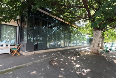 Spațiu Comercial Iconic – Piața Muncii |421 mp + 80mp| Horeca+ - 1