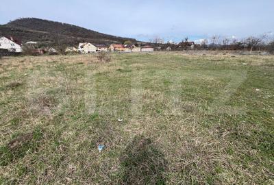 Teren Construcții intravilan de 4400 mp, în Viișoara