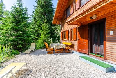Casa 3 camere, 840 mp teren care include padure, Paltinis - 3
