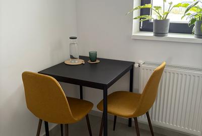 Inchiriere apartament 2 camere Hils Brauner- 1 decembrie liber - 30