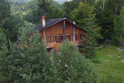 Casa de vacanta in Lepsa - 12