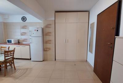 Renovat, Prima inchiriere, Tineretului, Metrou Timpuri Noi la 600m - 17