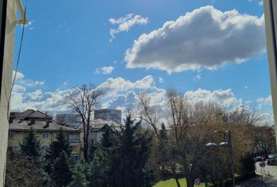 Five rooms apartment, Primaverii area, suitable for offices/commercial - 3