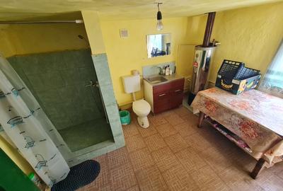 Proprietar vand casa+ teren 13000mp, Steia, Tomesti, jud. Hunedoara, 20km de Bra - 11