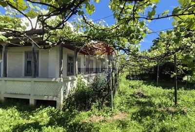 Oportunitate excelentă: Teren generos de 3.500 mp în Comuna Răucești - 2