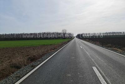 Vânzare teren agricol comasat plus microferma direct la sosea - 2