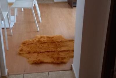 APARTAMENT 2 CAMERE PIATA ROMANA LINGA METROU - 8