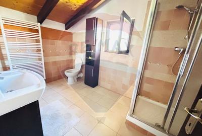 Casa de vacanta de închiriat  Cornetu -Mihailesti - 15