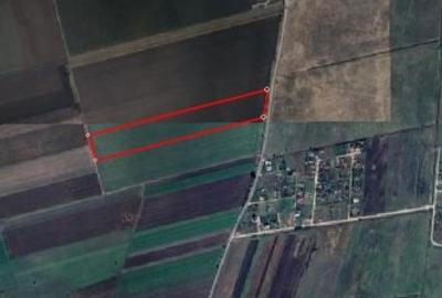 Teren agricol extravilan de 43820 mp, în Hărman