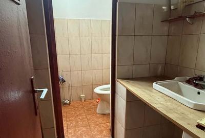Baia Mare- Ultracentral Moldovei spatiu comercial 116mp - 4