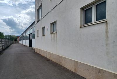 Inchiriez Hala industriala + spatiu birouri - 7