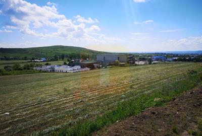 Teren Construcții intravilan de 650 mp, în Calea Romanului