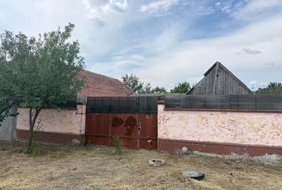 Casă de vânzare – Sântana - 18