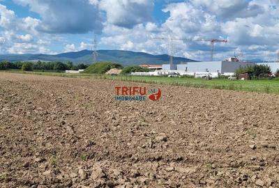 Teren Intravilan, 1ha,  langa noul Mall - 3