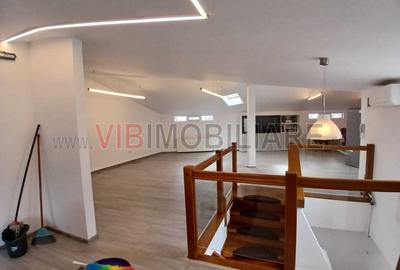Loft spatios la Cismigiu - 6