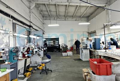 Spațiu industrial, de 1,033.00 mp, în Rogerius