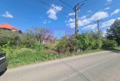 Teren Construcții intravilan de 2500 mp, în Voila