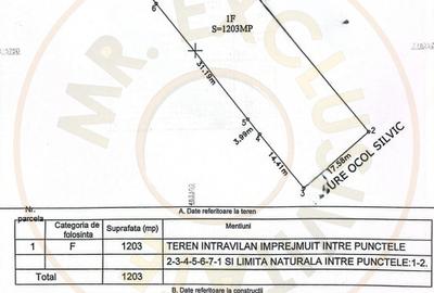 Teren intravilan 1203 mp Bascov-Florea zona Superba - 5
