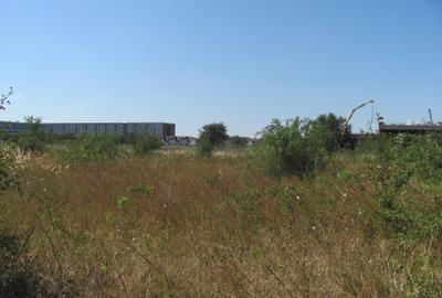 Prelungirea Ghencea - Toamnei, 1000 mp - 7