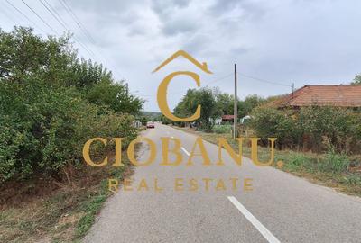 Teren Intravilan/Extravilan de vanzare in Bradestii Batrani - 2