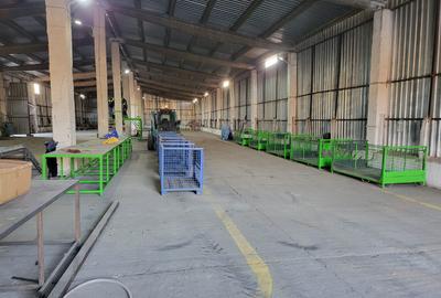 Spatiu industrial -  depozitare hale Baza Receptie Ghimpati Giurgiu - 15