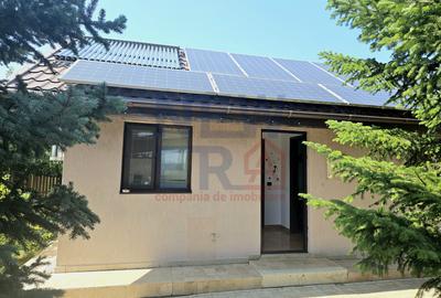 PROPRIETATE DEOSEBITĂ CU POTENȚIAL REZIDENȚIAL ȘI  BUSINESS – MOVILA, NICULEȘTI - 4