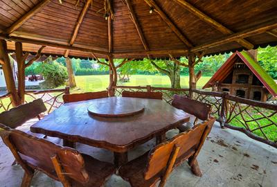 Proprietate Deosebita | Teren 3000 MP | Barbeque | Acces Padure |VIDEO - 22