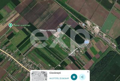 Teren agricol intravilan de 71300 mp, în Ciocănești