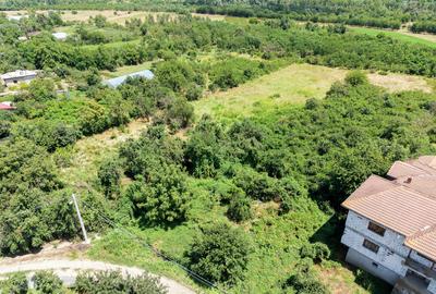 Curte 3200 mp Bolintin Vale, intravilan, intre case - 3