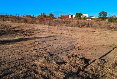 Teren Intravilan de vanzare 3778 mp Branesti Strada Violetelor - 16